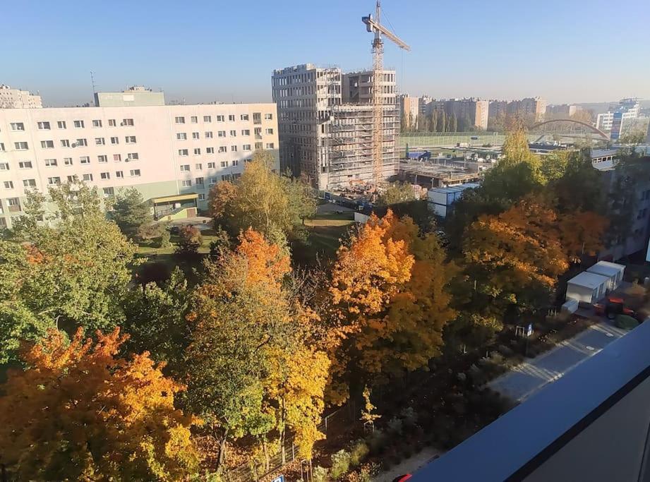 New 69 Apartment Szybowcowa Centre Katowice Free Parking 外观 照片